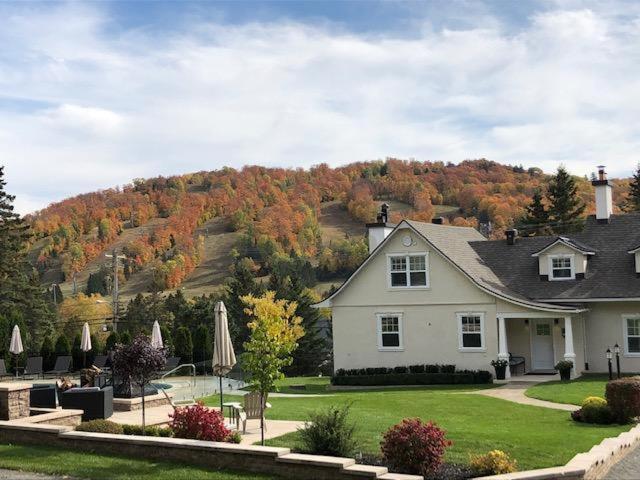 Auberge Sous L'Edredon B&B Saint-Sauveur-des-Monts 外观 照片